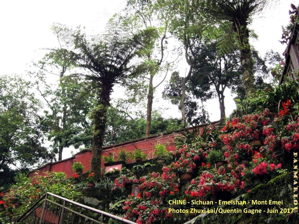 Emeishan 103.JPG